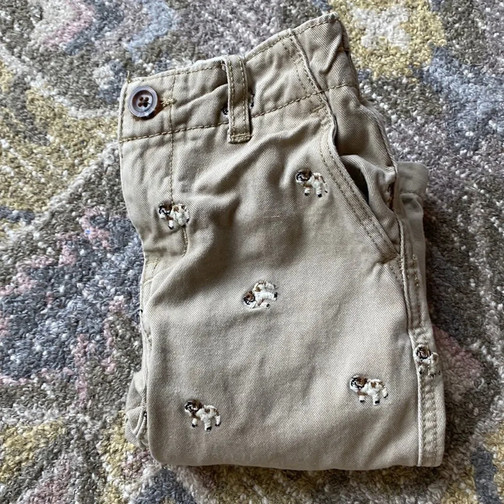 Gap pants
